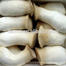 dried pleurotus eryngii whole /slice/powder